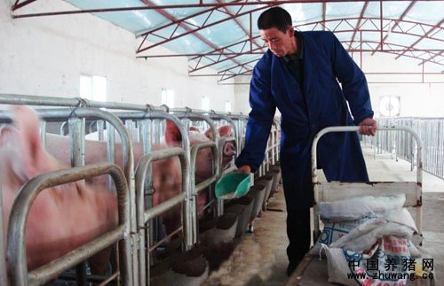 唐河县生猪养殖企业全面推行“健康养殖”理念