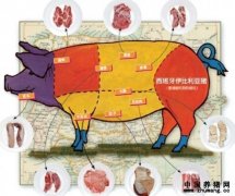 世界上最好吃的肉：西班牙黑猪肉